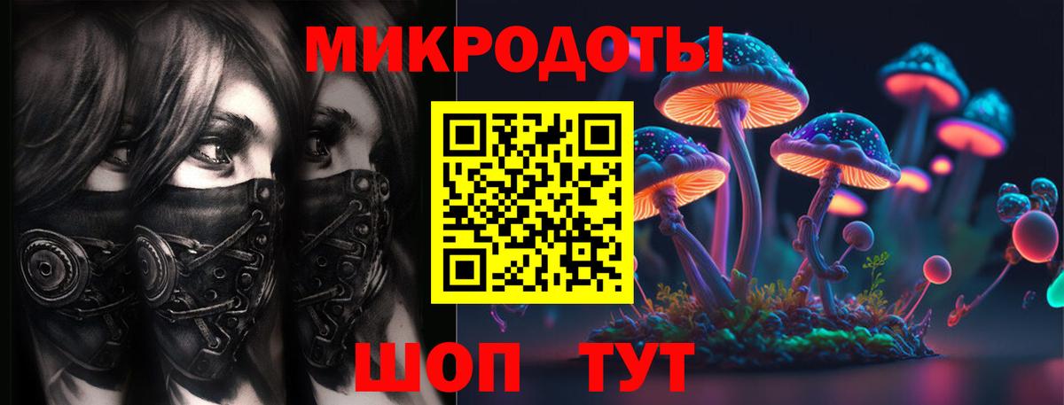 Псилоцибиновые грибы прущие грибы  цена   Кимовск  Вход с VPN 